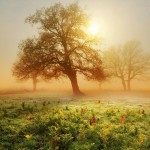 دانلود استاندارد مدیریت دارایی فیزیکی ISO 55000 , PAS 55